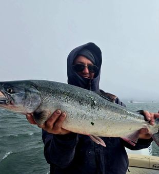Santa Barbara fishing trips—where every drop brings opportunity.