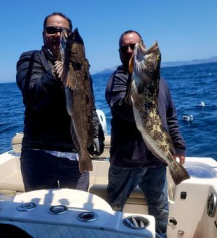 Santa Barbara fishing at its finest—calm waters, coastal views, and nonstop action.
