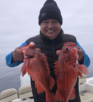 Cast into the Pacific and experience premium fishing in Santa Barbara, CA.