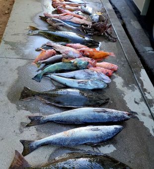 Productive Day - Santa Barbara, CA.