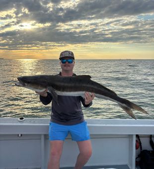 Nice cobia caught fishing in Nanticoke MD waters!