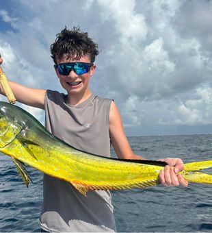 Vibrant Mahi-Mahi Caught In Florida Waters