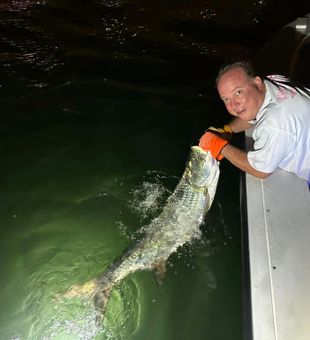 Late Night Tarpon Trip In Florida Waters