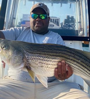 Smith Mountain Lake fishing