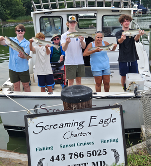 Nice striped bass from today's charter on partly cloudy waters!