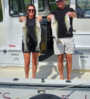 Blasted today with these striped bass! Great action on the water.