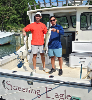 Great day trolling for striped bass and white bass in Neavitt! Light tackle made for an exciting adventure.