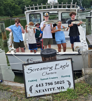 Nice striped bass from today's adventure in Neavitt! Partly cloudy skies made for exciting fishing conditions.