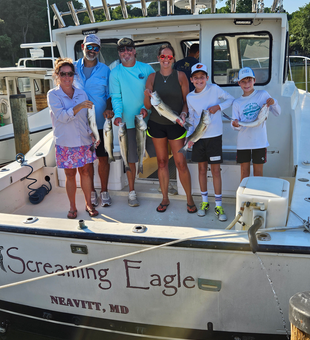 Exciting day trolling and bow fishing for stripers in clear conditions - best light tackle action!