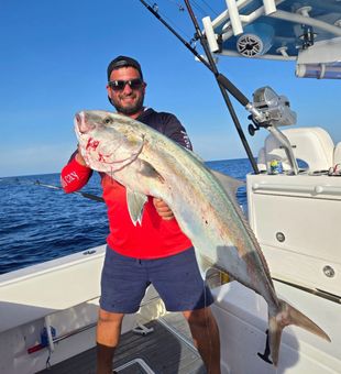 Long Key greater amberjack brings the fight!