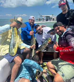 Fresh mahi mahi caught in Long Key waters!