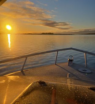 Golden Vancouver Island sunrise run