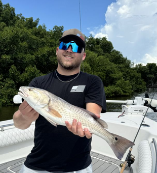 Redfish fishing in Ruskin is on fire! 