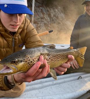 Everglades City Allure: Fly Fishing Escape