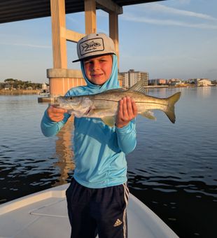Nice Edgewater snook caught under the bridge!