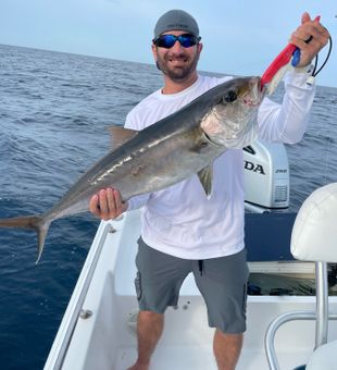 Amberjack Wonders In Panama City, FL