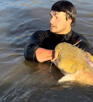 Dominant flathead at golden hour