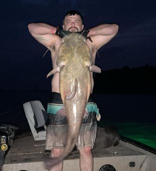 Massive and relentless flathead