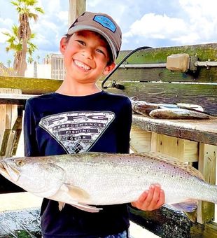 Speckled Sea Trout in  Corpus Christi, Texas