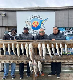 Assorted catches today. Some reds and sheepshead