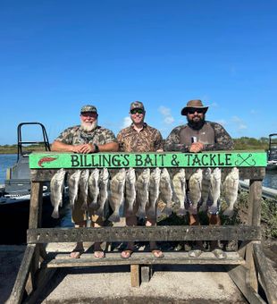 15 Sheepshead for these boys in Corpus Christi