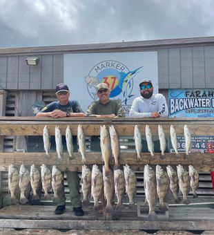 Productive day - Corpus Christi, TX
