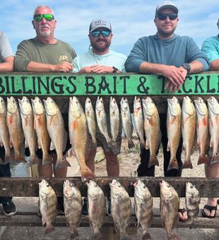 Corpus Christi black drum, redfish and speckled trout success!