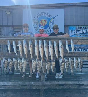 Loaded redfish and sheepshead haul on a coastal fishing charter