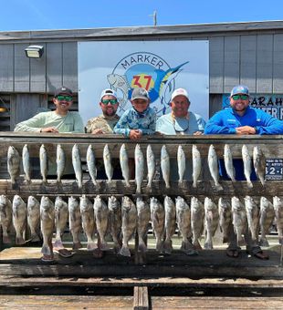 Perfect day fishing in Corpus Christi