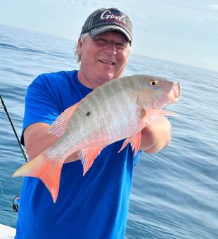 Giant catches, unforgettable moments