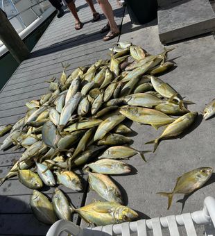The horizon holds endless fishing opportunities