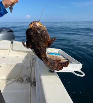 Reel in big fish in Kitty Hawk NC