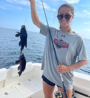 Day well spent fishing Sea bass Kitty Hawk.