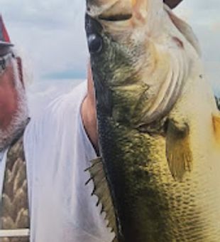 Scenic day of bass fishing Lake Seminole