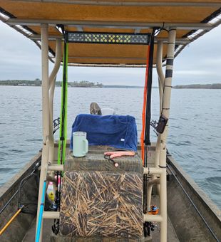 Guided fishing on Lake Seminole for bass