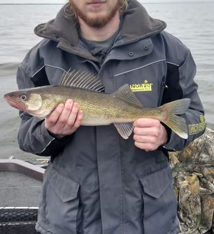 Nice Walleye catch!
