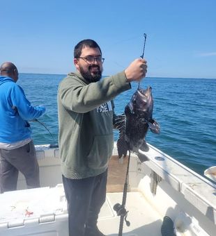 Deep sea fishing Cape Cod