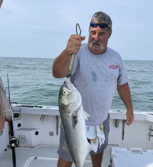 Solid Bluefish showing off its power!