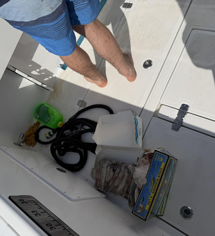 Ready for deep sea action in Gulf waters!