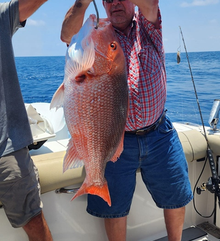 Big catch day! Red Snapper haul, Carrabelle Gulf fishing charter