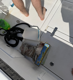 Successful Gulf of Mexico deep sea fishing adventure complete!