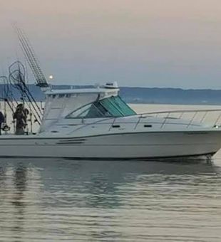 Michigan fishing charters