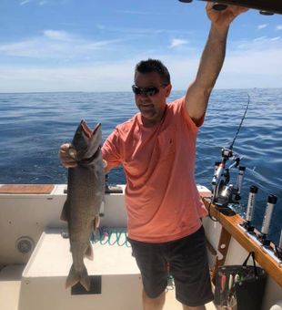 Lake Trout in Lake Huron