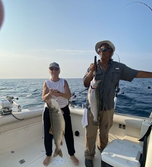 Lake Michigan Lake Trout & Salmon action!