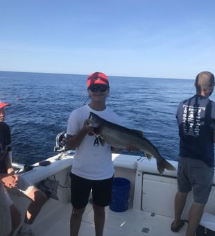 Impressive Port Austin lake trout!