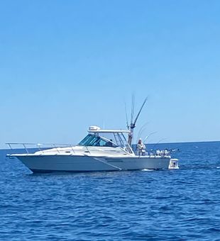 Fishing in Port Austin, MI