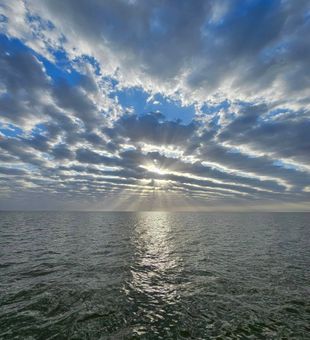This just might be your view on your next trip.
