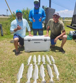 Fish on the grass means it was caught already.