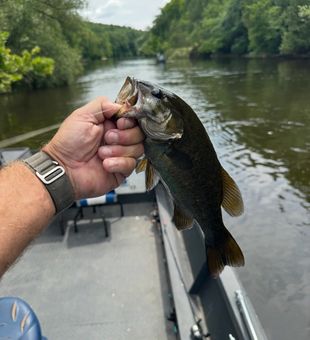 Early starts, lasting memories