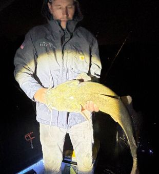 Night Flathead Catfish on Lake Wateree!
